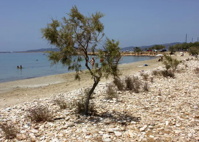 Apartmán Lydia's East *