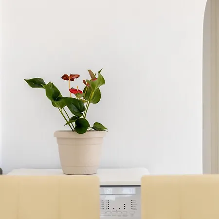 Lydia's East * Alikí