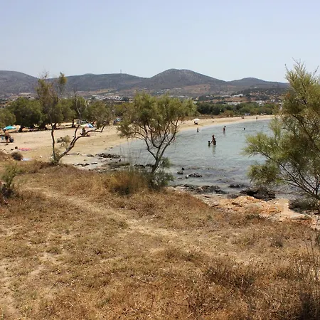 Lydia's East 아파트